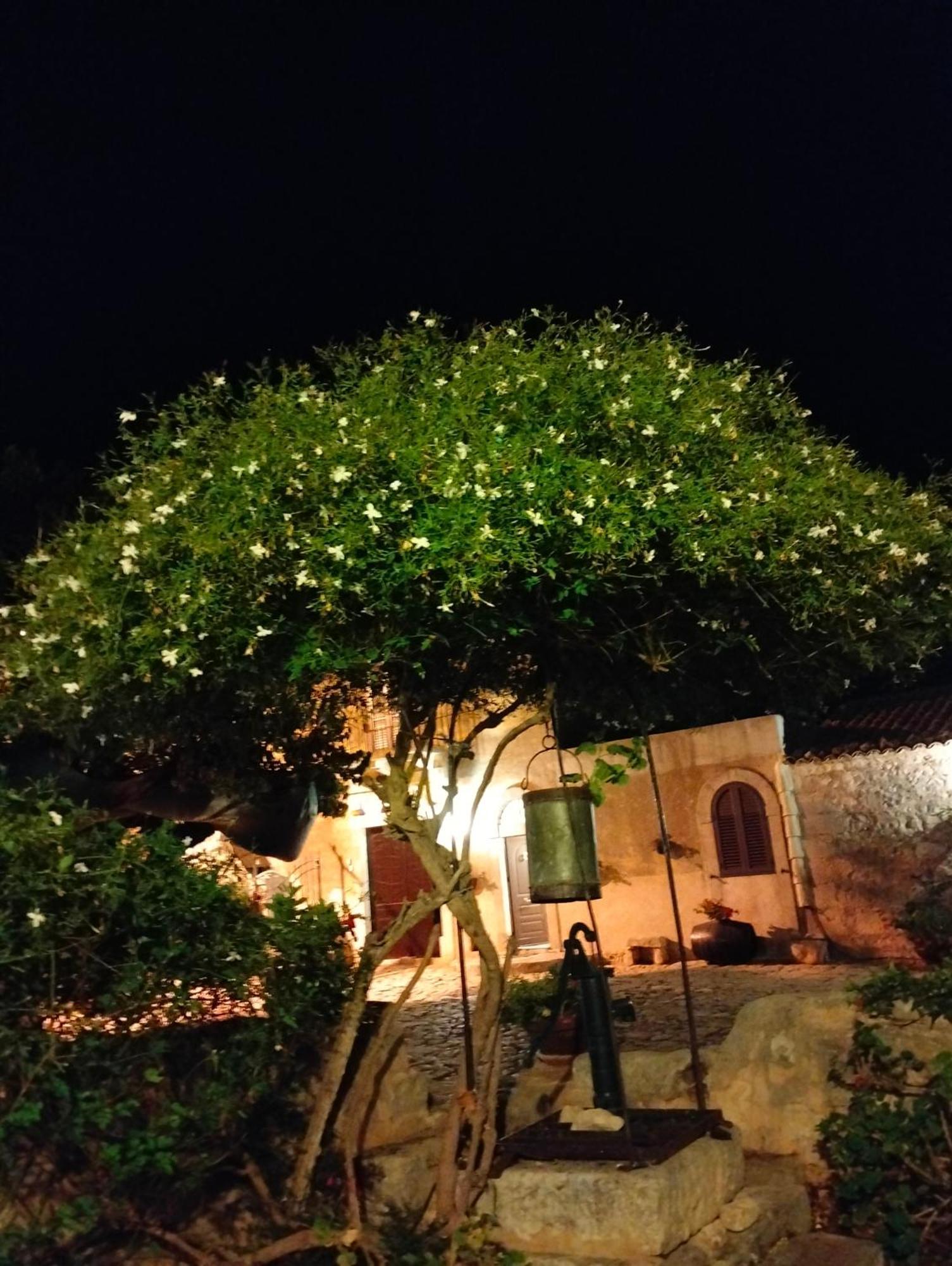 Villa I Dammusi à Santa Croce Camerina Extérieur photo